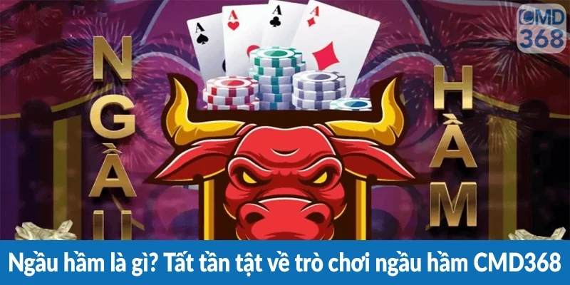Ngầu hầm là gì? Tất tần tật về trò chơi ngầu hầm CMD368
