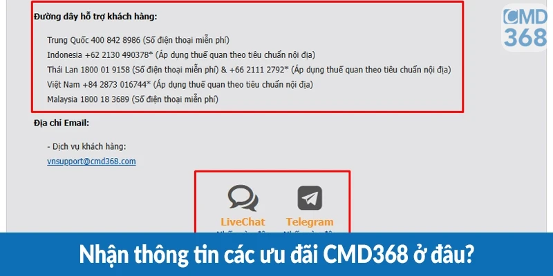 Nhận thông tin các ưu đãi CMD368 ở đâu? Nhận thông tin các ưu đãi CMD368 ở đâu?